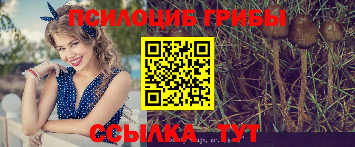 дарнет шоп  Галлюциногенные грибы мухоморы  Вход с VPN  Сухой Лог 