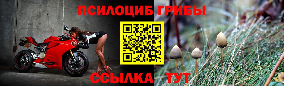 Галлюциногенные грибы GOLDEN TEACHER Сухой Лог